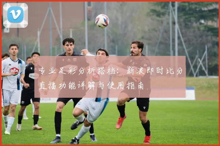 专业足彩分析搭档：新浪即时比分直播功能详解与使用指南