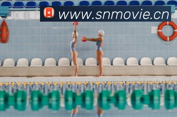 开云kaiyun网站平台生态图