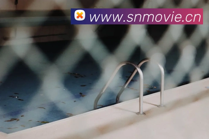 开云kaiyun网站全站App